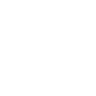 Sentinel Point Logo